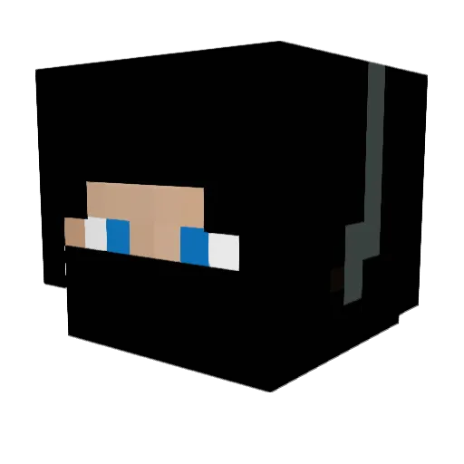Fridgej99 Minecraft avatar head, 3D render
