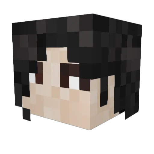 Fridgemilk133 Minecraft avatar head, 3D render