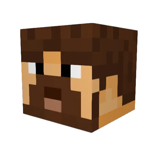 Fridim3 Minecraft avatar head, 3D render