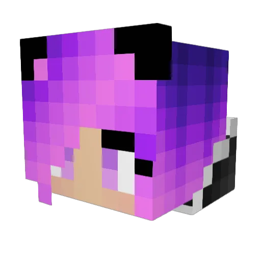 Fridisenh Minecraft avatar head, 3D render