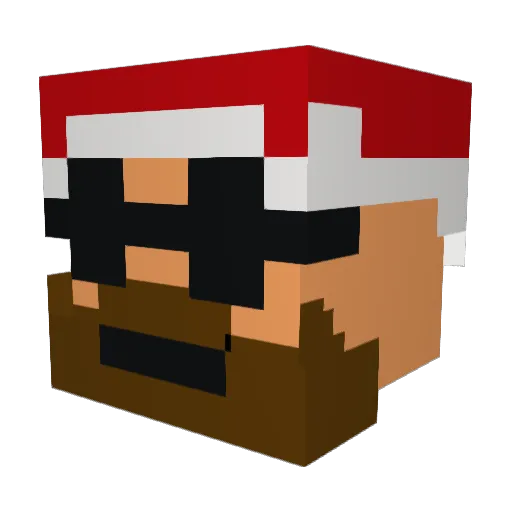 Fridolin0911 Minecraft avatar head, 3D render