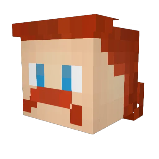 Fridtjof_DE Minecraft avatar head, 3D render