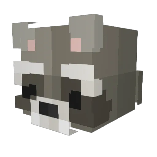 FriedHamSam Minecraft avatar head, 3D render