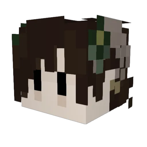 FriedOreoz Minecraft avatar head, 3D render