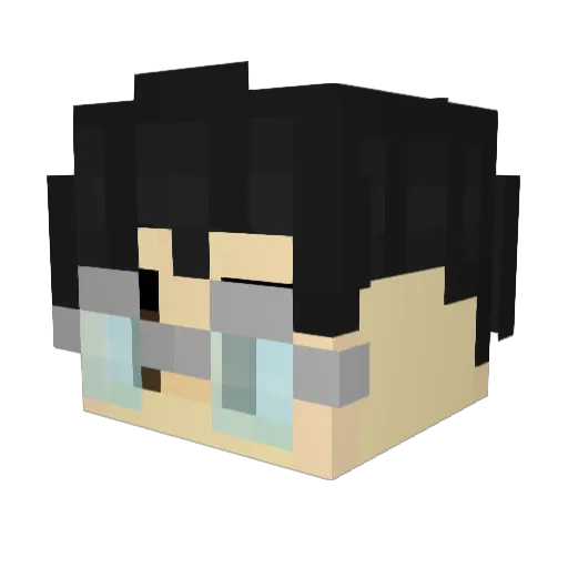 FriedRiceForY0u Minecraft avatar head, 3D render