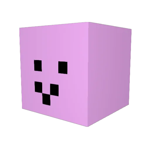 FriedRicelel Minecraft avatar head, 3D render