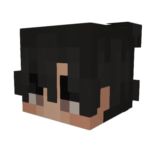 Fried_Duckie Minecraft avatar head, 3D render