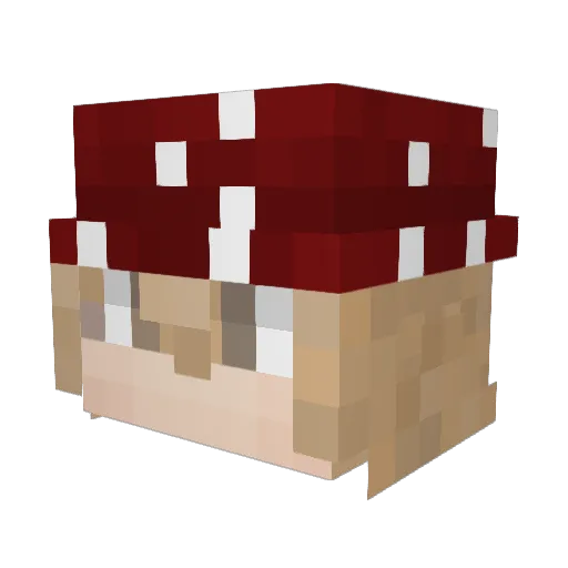 Fried_Mushroom Minecraft avatar head, 3D render
