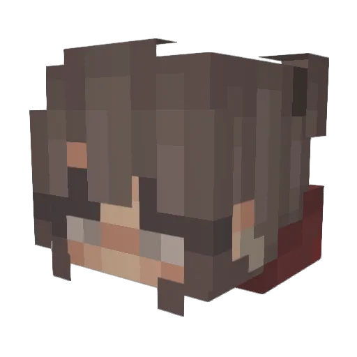 Fried_Ricer_27 Minecraft avatar head, 3D render