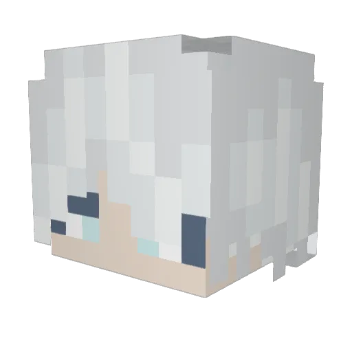 Fried_Toast_ Minecraft avatar head, 3D render