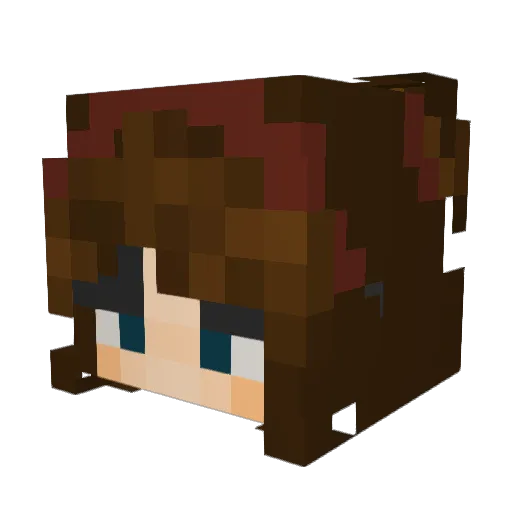 FriedeggSammy Minecraft avatar head, 3D render