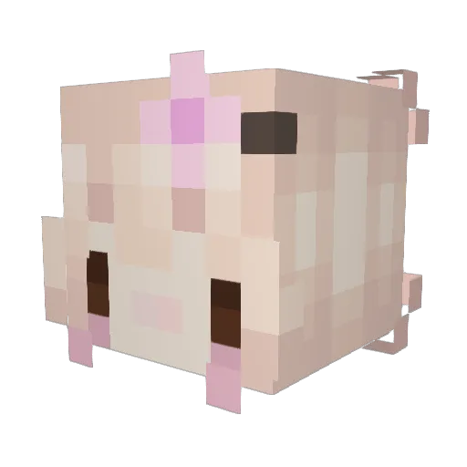 Friedrich_von Minecraft avatar head, 3D render