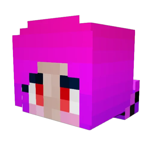 Friedthunder Minecraft avatar head, 3D render