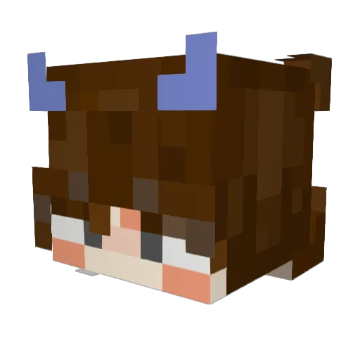 Friend2534 Minecraft avatar head, 3D render