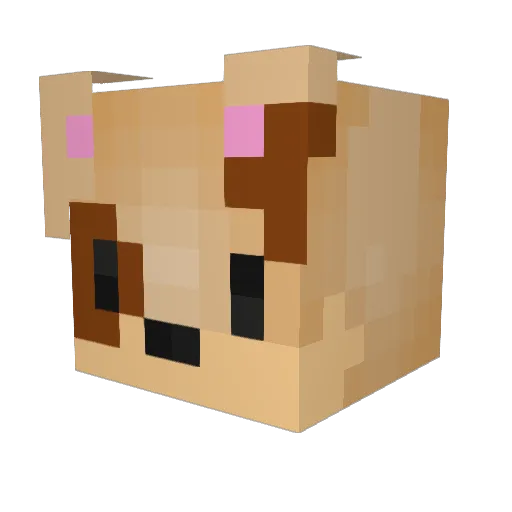 Friend Minecraft avatar head, 3D render