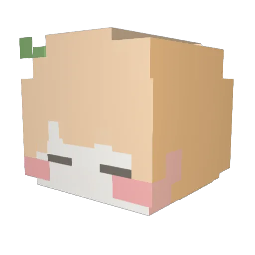 FriendFairy Minecraft avatar head, 3D render