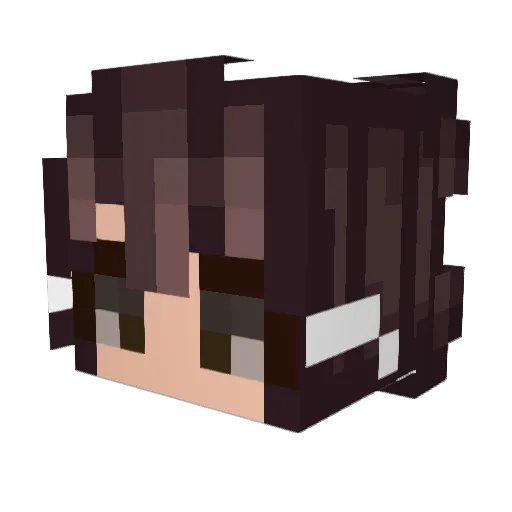 FriendPanini Minecraft avatar head, 3D render