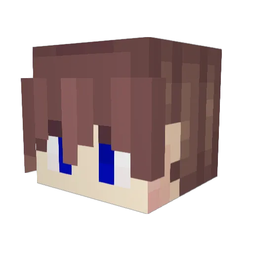 Friend_Pirate Minecraft avatar head, 3D render