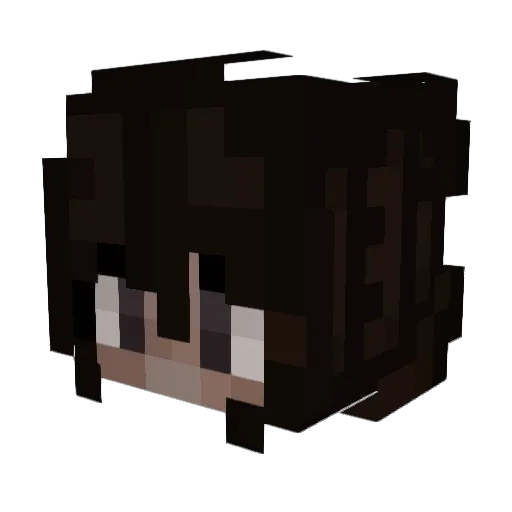 Friend_of_Blahaj Minecraft avatar head, 3D render