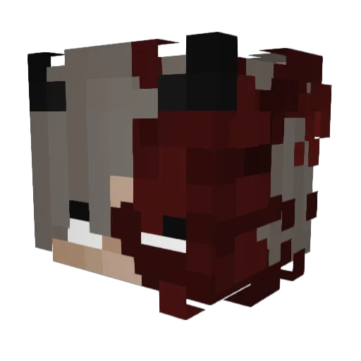 FriendlyCraft Minecraft avatar head, 3D render