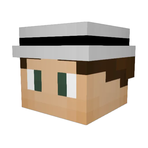 FriendlyJohnny Minecraft avatar head, 3D render