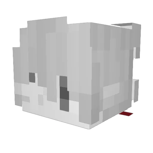 Friendly_S Minecraft avatar head, 3D render