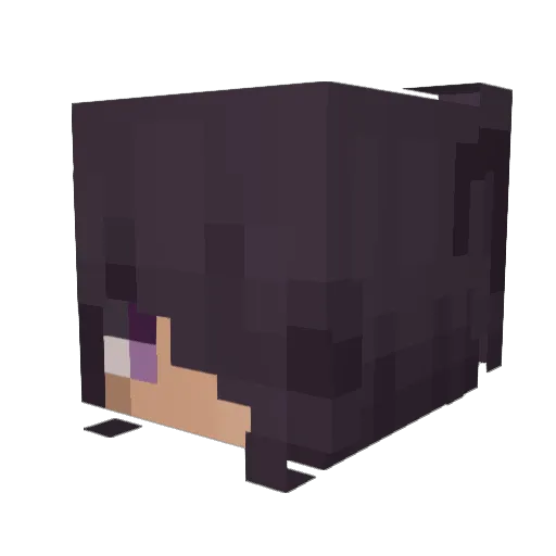 Friendlyherobrn Minecraft avatar head, 3D render