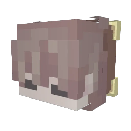 Friends__ Minecraft avatar head, 3D render