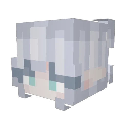 FrierenRiku Minecraft avatar head, 3D render
