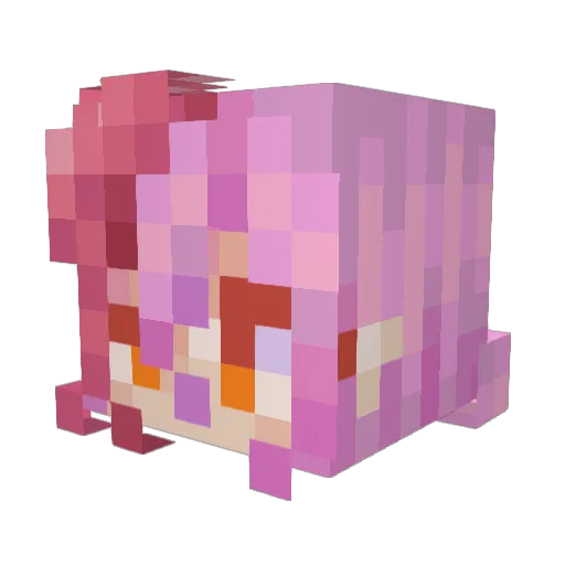 Frieren_TheMage Minecraft avatar head, 3D render