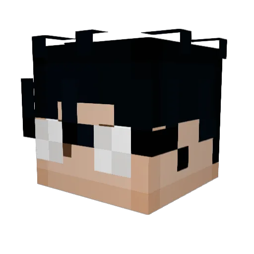 FriesenLosty Minecraft avatar head, 3D render
