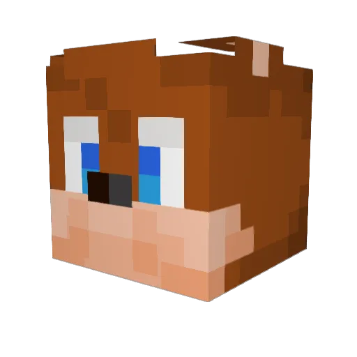 Friesstyle Minecraft avatar head, 3D render