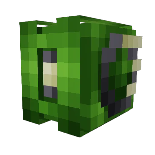 Frigid_ACE Minecraft avatar head, 3D render