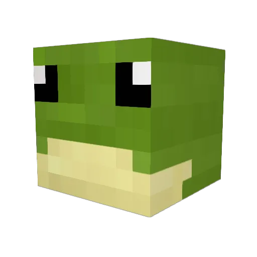 Frigidarious Minecraft avatar head, 3D render