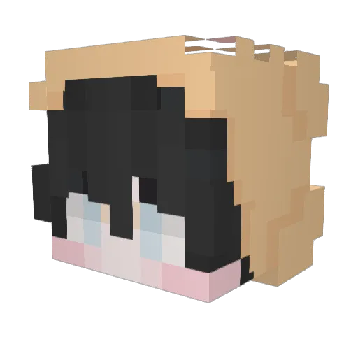 FrigoPalpitant Minecraft avatar head, 3D render