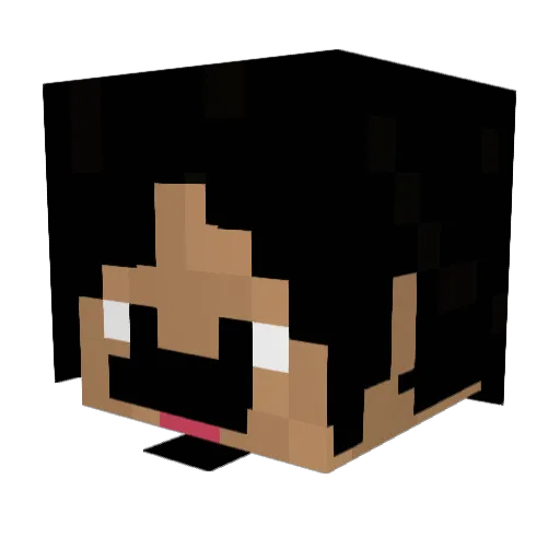 FrijoleLover Minecraft avatar head, 3D render