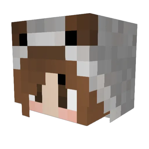Frimel01 Minecraft avatar head, 3D render