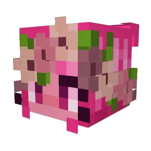 Frimor96 Minecraft avatar head, 3D render