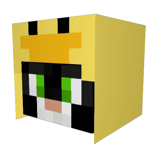 Frisbee44 Minecraft avatar head, 3D render