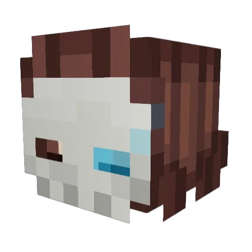 Frisk1212 Minecraft avatar head, 3D render