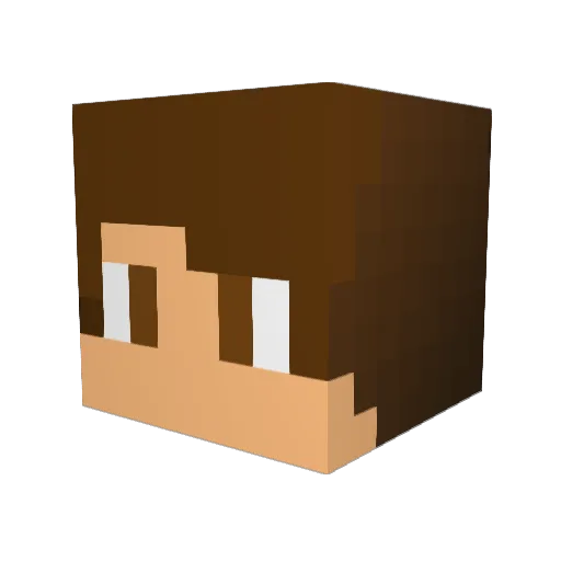 FriskMC Minecraft avatar head, 3D render