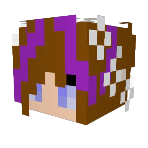 Frisk_9510 Minecraft avatar head, 3D render