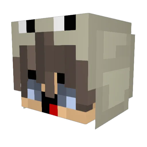Friskingness Minecraft avatar head, 3D render