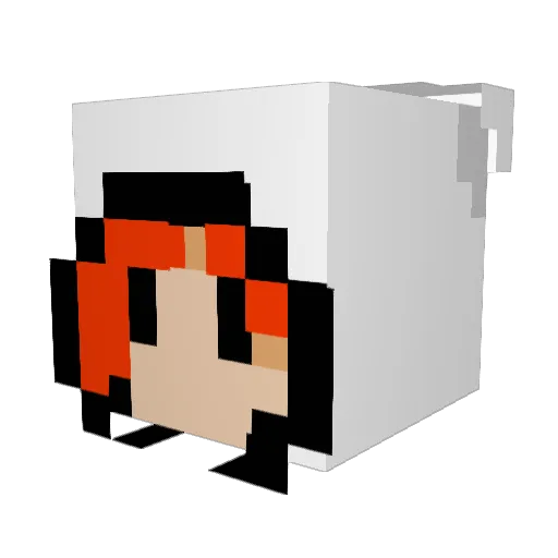 FriskyBoat Minecraft avatar head, 3D render