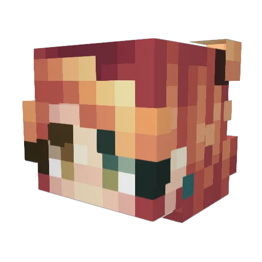 FriskyDingus Minecraft avatar head, 3D render