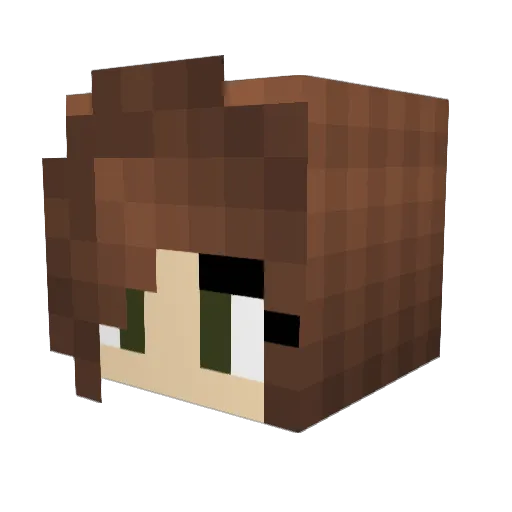 FriskyMidnight Minecraft avatar head, 3D render