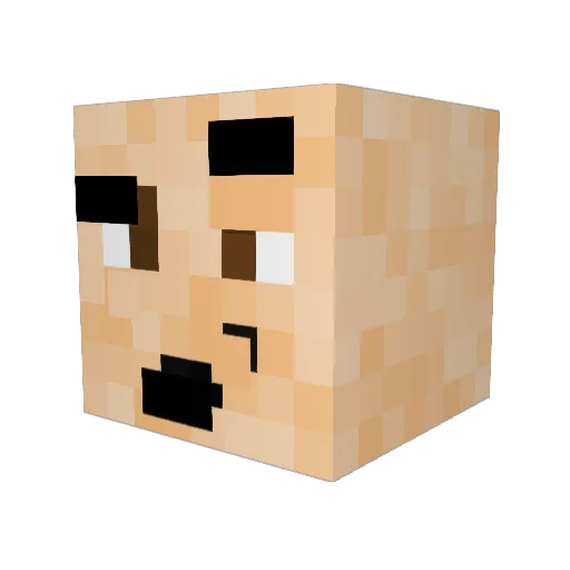 Friso69 Minecraft avatar head, 3D render
