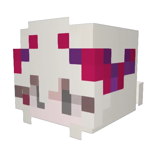 Frissonille Minecraft avatar head, 3D render