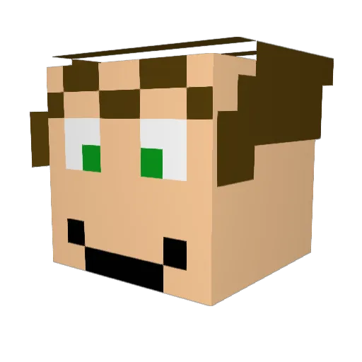 FristiDealer420 Minecraft avatar head, 3D render