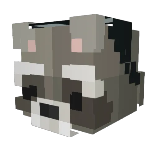 Fritocheese Minecraft avatar head, 3D render